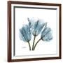 Tulips Blue-Albert Koetsier-Framed Premium Giclee Print