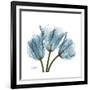 Tulips Blue-Albert Koetsier-Framed Premium Giclee Print