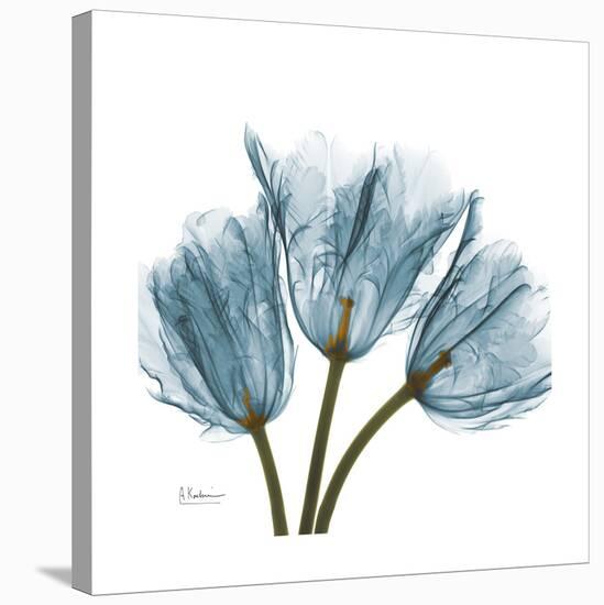 Tulips Blue-Albert Koetsier-Stretched Canvas