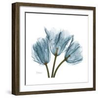 Tulips Blue-Albert Koetsier-Framed Premium Giclee Print