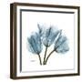 Tulips Blue-Albert Koetsier-Framed Premium Giclee Print