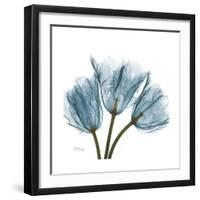 Tulips Blue-Albert Koetsier-Framed Premium Giclee Print