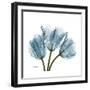 Tulips Blue-Albert Koetsier-Framed Premium Giclee Print