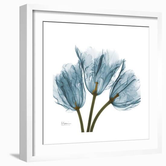 Tulips Blue-Albert Koetsier-Framed Premium Giclee Print