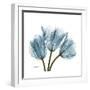 Tulips Blue-Albert Koetsier-Framed Premium Giclee Print