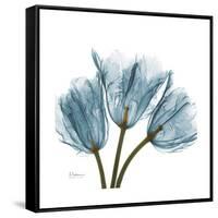 Tulips Blue-Albert Koetsier-Framed Stretched Canvas