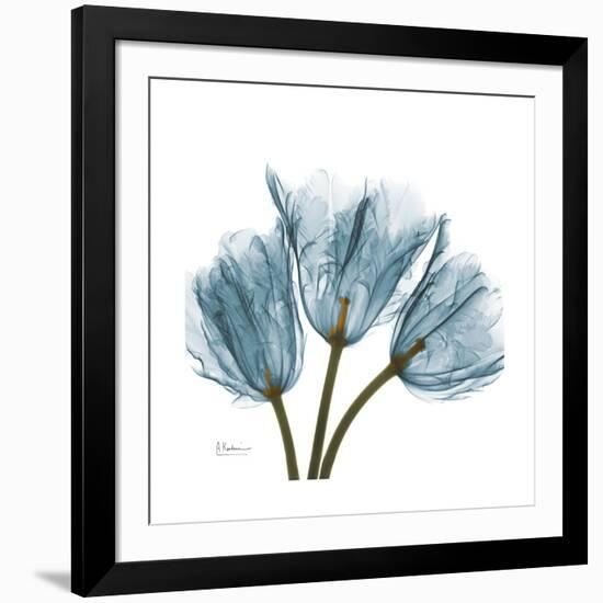 Tulips Blue-Albert Koetsier-Framed Premium Giclee Print