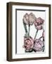 Tulips Bright 2-Design Fabrikken-Framed Photographic Print