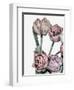 Tulips Bright 2-Design Fabrikken-Framed Photographic Print