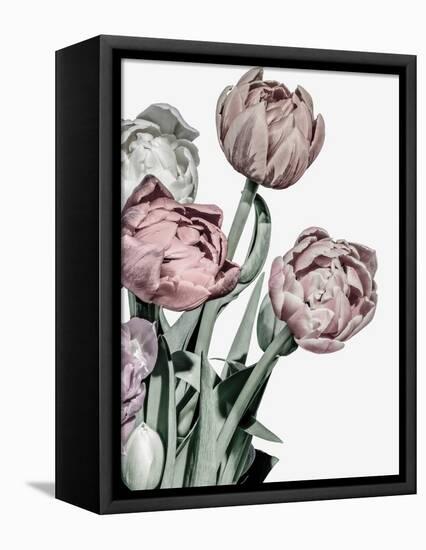 Tulips Bright-Design Fabrikken-Framed Stretched Canvas