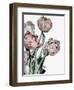 Tulips Bright-Design Fabrikken-Framed Photographic Print