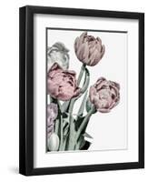 Tulips Bright-Design Fabrikken-Framed Photographic Print