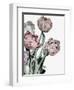 Tulips Bright-Design Fabrikken-Framed Photographic Print