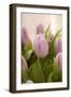 Tulips, Bunch, Bouquet, Blossoms, Leaves-Nikky Maier-Framed Photographic Print
