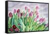 Tulips by Window-Christopher Ryland-Framed Stretched Canvas