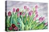 Tulips by Window-Christopher Ryland-Stretched Canvas