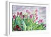 Tulips by Window-Christopher Ryland-Framed Giclee Print