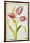 Tulips, C.1675-Nicolas Robert-Framed Giclee Print