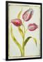 Tulips, C.1675-Nicolas Robert-Framed Giclee Print