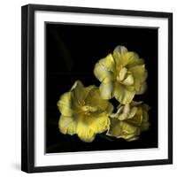 Tulips Cheery Trilogy-Magda Indigo-Framed Photographic Print