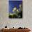 Tulips, Cincinatti, Ohio, USA-Adam Jones-Photographic Print displayed on a wall