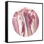 Tulips Circle-Wild Apple Portfolio-Framed Stretched Canvas