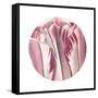 Tulips Circle-Wild Apple Portfolio-Framed Stretched Canvas