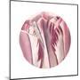 Tulips Circle-Wild Apple Portfolio-Mounted Art Print