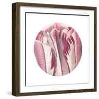 Tulips Circle-Wild Apple Portfolio-Framed Art Print