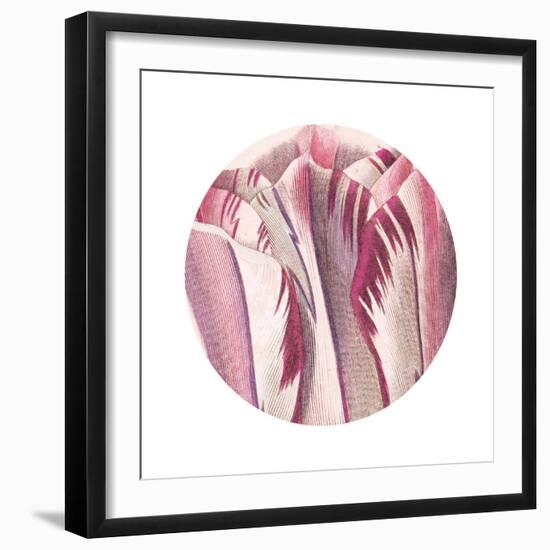 Tulips Circle-Wild Apple Portfolio-Framed Art Print