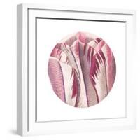 Tulips Circle-Wild Apple Portfolio-Framed Art Print