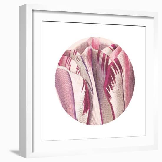Tulips Circle-Wild Apple Portfolio-Framed Art Print