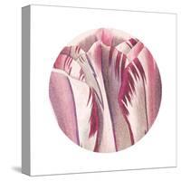 Tulips Circle-Wild Apple Portfolio-Stretched Canvas