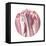 Tulips Circle-Wild Apple Portfolio-Framed Stretched Canvas