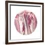 Tulips Circle-Wild Apple Portfolio-Framed Art Print