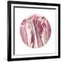 Tulips Circle-Wild Apple Portfolio-Framed Art Print