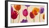 Tulips & Colors-Luca Villa-Framed Art Print