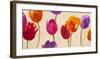Tulips & Colors-Luca Villa-Framed Art Print