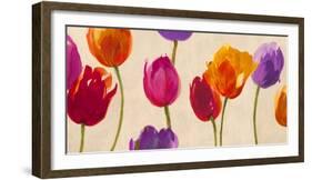 Tulips & Colors-Luca Villa-Framed Art Print