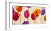 Tulips & Colors-Luca Villa-Framed Art Print