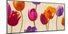 Tulips & Colors-Luca Villa-Mounted Art Print