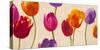 Tulips & Colors-Luca Villa-Stretched Canvas