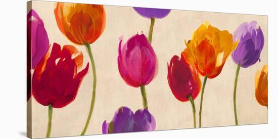 Tulips & Colors-Luca Villa-Stretched Canvas