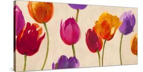 Tulips & Colors-Luca Villa-Stretched Canvas