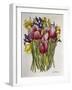 Tulips, Daffodils and Iris-Joan Thewsey-Framed Giclee Print