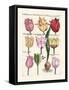 Tulips en Masse II-null-Framed Stretched Canvas