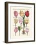 Tulips en Masse II-null-Framed Art Print