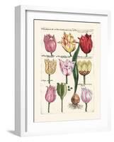 Tulips en Masse II-null-Framed Art Print
