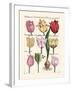 Tulips en Masse II-null-Framed Art Print