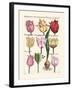 Tulips en Masse II-null-Framed Art Print